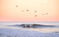 peaceful 9